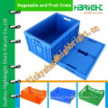 Cajón plástico de alimentos / cajón de almacenamiento con bolsa térmica